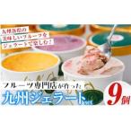 九州ジェラートセット 9個入