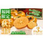 甘柿 秋王 約3kg箱 8-12玉