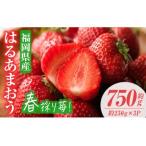はるあまおう 計約750g 約250g×3P
