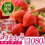 うるう農園のスタンダードあまおう 計1.14kg