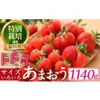 ふるさと納税 ＜予約受付中！2026年2月より順次発送予定＞＜不揃い＞あまおう(計1.14kg・285g×4P) 苺 いちご イチゴ フルーツ 果物 ヨーグ.. 福岡県春日市