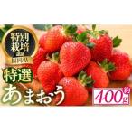 特選あまおう 約400g