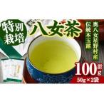奥八女星野村 伝統本玉露 計100g