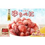ふるさと納税 冷凍 いちご ゆうべに 約 2kg | フルーツ 果物 シャーベット アイス イチゴ いちご 苺 赤いちご 熊本県 玉名市 熊本県玉名市
