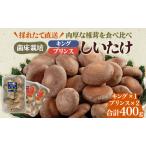 厚岸産 しいたけ キング 1パック