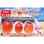 ふるさと納税 ≪今が旬!≫訳あり!【家庭用】徳之島産完熟マンゴー1kg(2〜3玉)( マンゴー フルーツ わけあり 訳あり 訳有 果物 完熟 無加.. 鹿児島県徳之島町