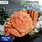 オホーツク海産 浜ゆで毛ガニ660g×1尾