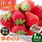 いちご ゆめのか 1kg