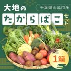大地のたからばこセット 1箱