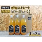 りんごジュース 1L×3本