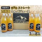 りんごジュース 1L×6本