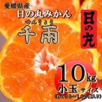 ふるさと納税 日の丸みかん「千兩」10kg 2S(小玉)サイズ/約130〜160個【D79-10】【1452033】 愛媛県八幡浜市