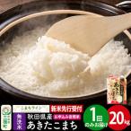 あきたこまち 一等米 20kg