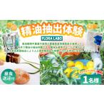 手作り精油 抽出体験 1名様分 精油 手作り