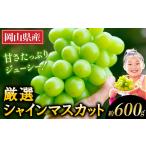 ふるさと納税 シャインマスカット約600g 岡山県矢掛町