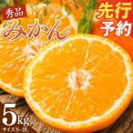みかん 秀品 計5kg