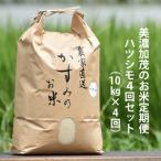 令和6年産米 美濃加茂のお米 定期便 毎月