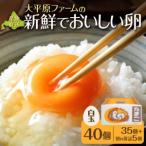 fu.... налог .... Tama .[ большой flat . ферма ] итого 40 шт _S035-0001 Hokkaido Shimizu блок 