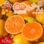 訳あり 早生 温州 みかん 約 5kg