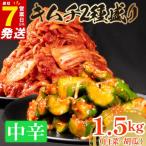 \これが本場の味 胡瓜キムチ 1kg