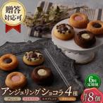 アンジェリングショコラ8個 毎月4種×各2個