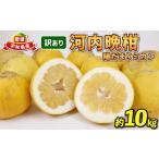 ふるさと納税 訳あり �