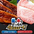 2476 大隅産 うなぎ蒲焼 150g