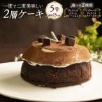 2層ケーキ ケーキケーキケーキケーキ