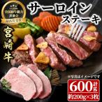 宮崎牛 サーロインステーキ 計600g