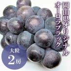 ニュー ピオーネ 2房