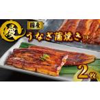 ふるさと納税 国産うなぎ蒲焼き タレ・山椒付き 2枚 約100g×2 鰻 鰻 鰻 鰻 鰻 石毛川魚店 千葉県銚子市