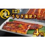 ふるさと納税 国産うなぎ蒲焼き タレ・山椒付き 4枚 約100g×4 鰻 鰻 鰻 鰻 鰻 石毛川魚店 千葉県銚子市