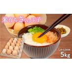 fu.... налог яйцо 5kg трещина возмещение 5 шт L размер только примерно 75 шт местного производства рис .. Sakura шар . Sakura яйцо курица Sakura kok.. яичный желток способ тест .. длина сырой Tama ... Shiga префектура дракон . блок 