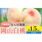 桃 もも ご 岡山白桃 約1.5kg
