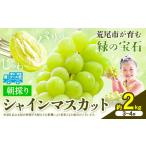 ふるさと納税 【先行予約】 シャインマスカット 約2kg(3-4房) 《8月下旬-9月末頃出荷》大容量 シャインマスカット フルーツ シャインマスカッ.. 熊本県荒尾市