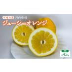 ふるさと納税 先行予�