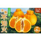 ふるさと納税 先行予約 完熟不知火 約5kg 不揃い キズあり 家庭用 訳あり SDGs B級品【高橋果樹園】【2026年2月上旬から3月下旬発送予定】不知.. 熊本県宇城市