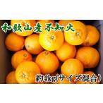 産不知火約4kg サイズ混合