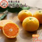 果物類 みかん 早生みかん 7.5kg