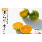 極早生みかん 6.5kg