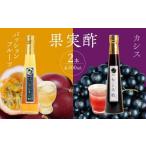 果実酢2本セット パッションフルーツ カシス