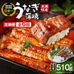 2483 大隅特産 うなぎ蒲焼 3尾