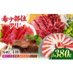 ふるさと納税 馬刺しバラエティセット4種 約380g（赤身 約100g×1pc・肩ロース 約80g×1pc・ふたえご 約100g×1pc・レバー 約100g.. 熊本県山鹿市