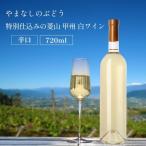 山梨 甲州 菱山 甲州種で造る手絞り甲州ワイン