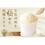 生乳の味を極めた特撰アイス17個セット