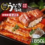 2488 大隅特産 うなぎ蒲焼 5尾