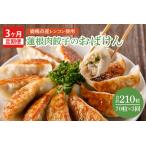 蓮根肉餃子のおばけん 【野菜 ギョーザ れんこん