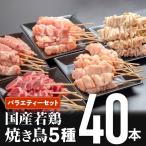 若鶏の焼き鳥セット5種 40本