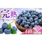 ブルーベリー 生ブルーベリー110g×4