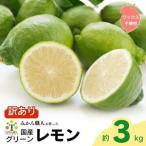 訳あり レモン グリーンレモン 3kg